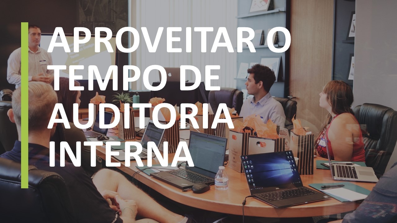 Aproveitar O Tempo De Auditoria Interna Catarina Quina Ribeiro 4895